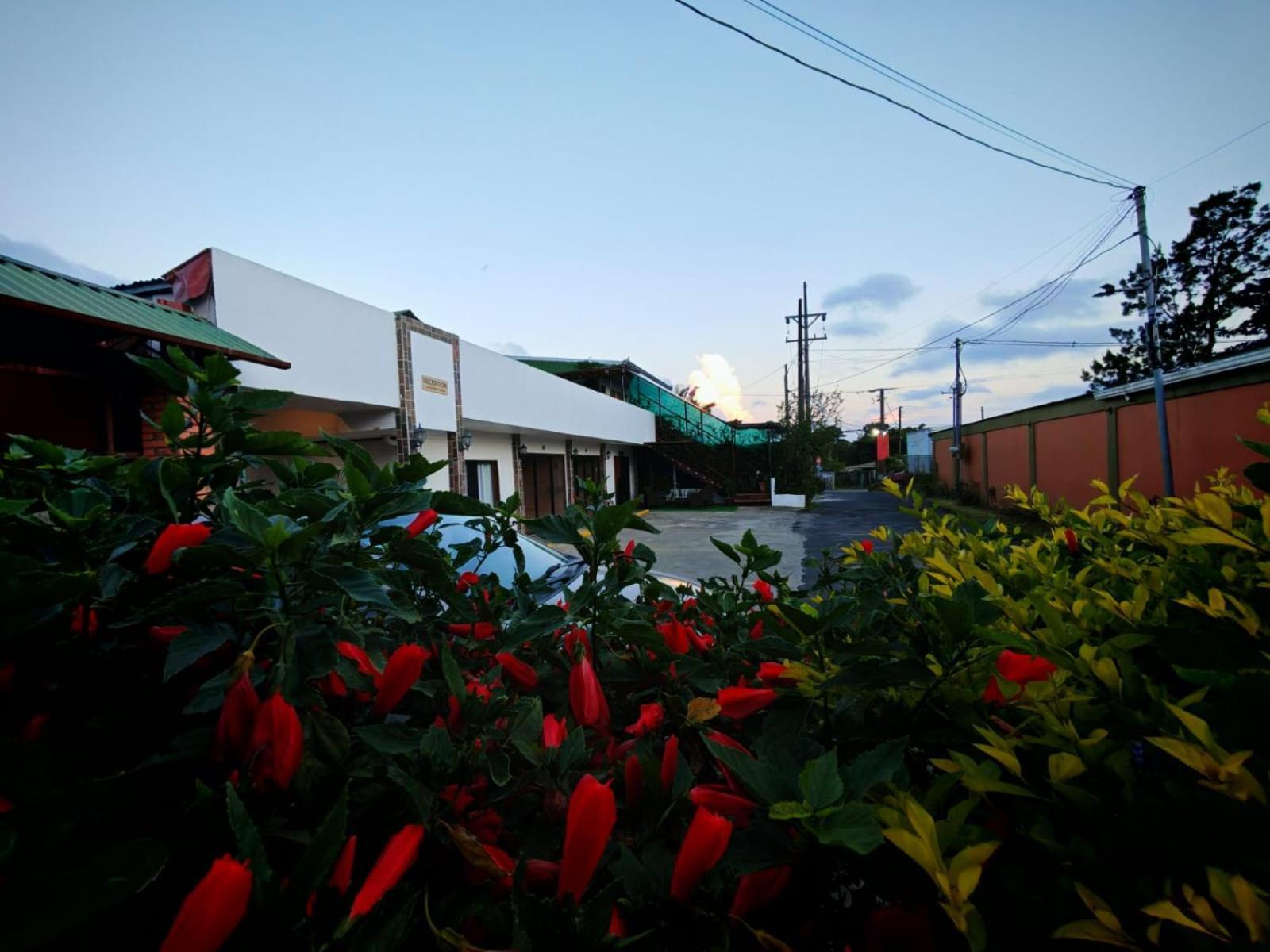 Hotel Las Ardillas Monteverde Exterior photo